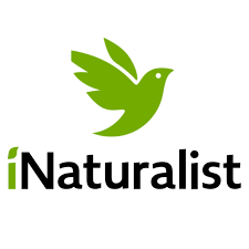 Logo iNaturalist