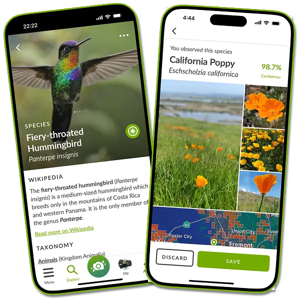 iNaturalist app