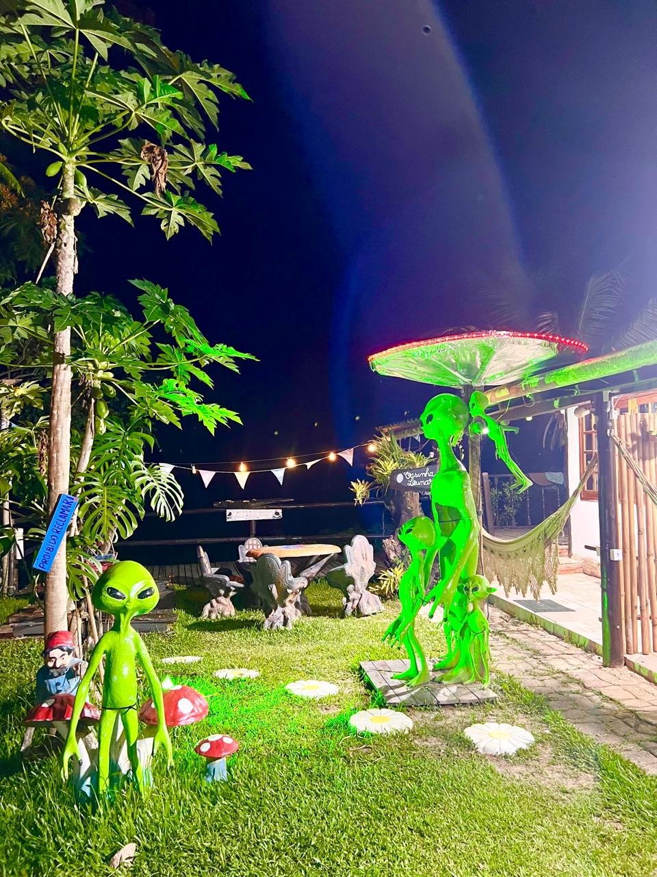Casinha Galáxia - Casinha Floresta Encantada